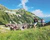 Montagne été